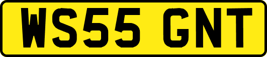 WS55GNT