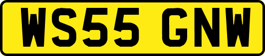 WS55GNW