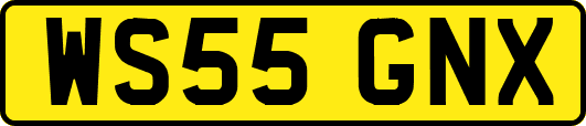 WS55GNX