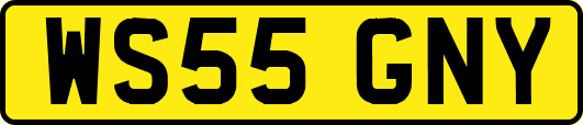 WS55GNY