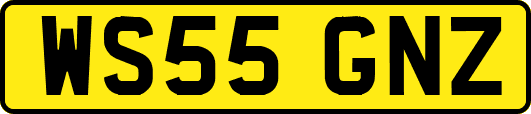 WS55GNZ