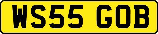 WS55GOB