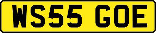 WS55GOE