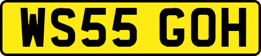 WS55GOH