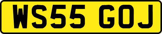 WS55GOJ
