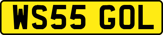 WS55GOL