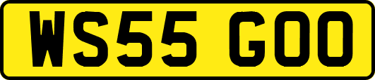 WS55GOO