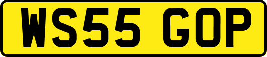 WS55GOP