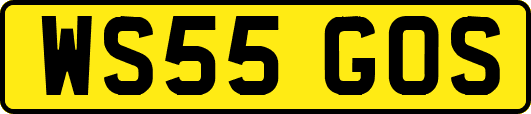 WS55GOS