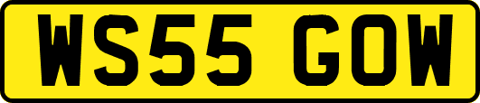 WS55GOW