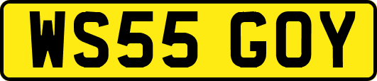 WS55GOY