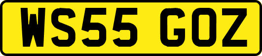 WS55GOZ