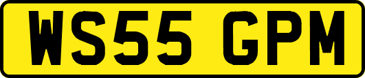 WS55GPM