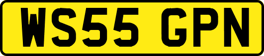 WS55GPN