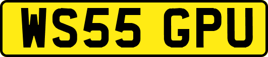 WS55GPU