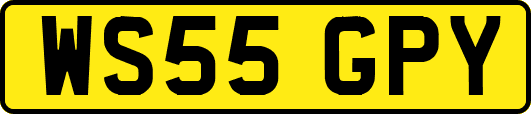 WS55GPY