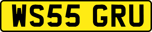 WS55GRU