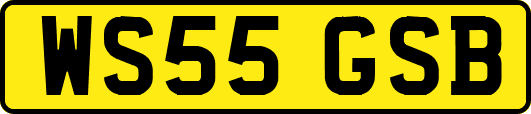 WS55GSB
