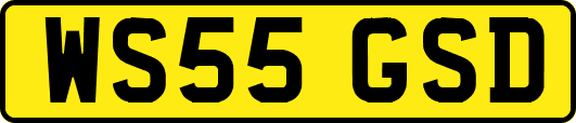 WS55GSD