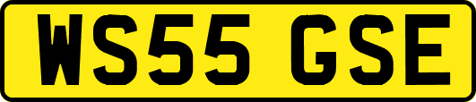 WS55GSE