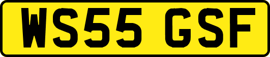 WS55GSF