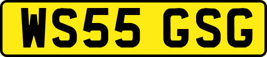 WS55GSG