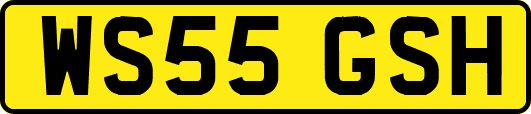 WS55GSH