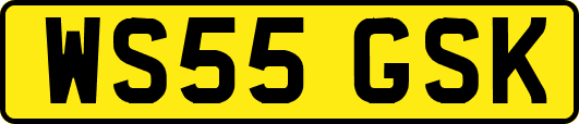WS55GSK