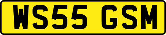 WS55GSM