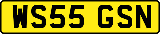 WS55GSN