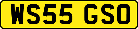 WS55GSO