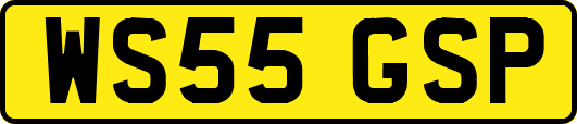 WS55GSP