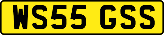 WS55GSS