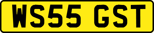 WS55GST