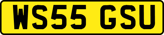 WS55GSU