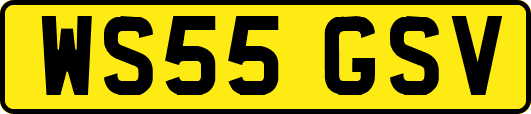 WS55GSV