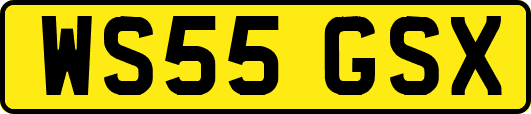 WS55GSX