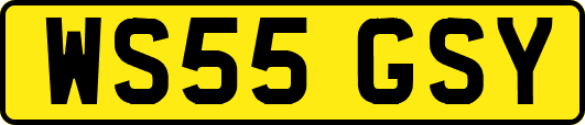 WS55GSY