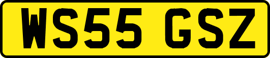 WS55GSZ