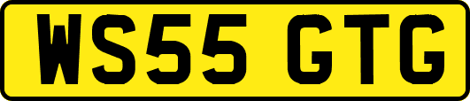 WS55GTG