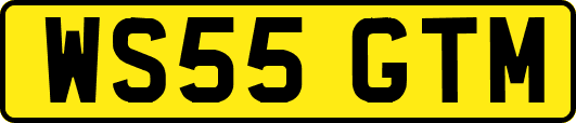 WS55GTM