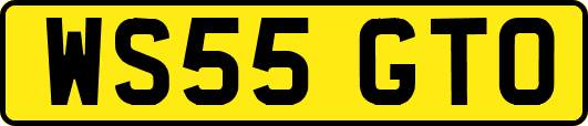 WS55GTO