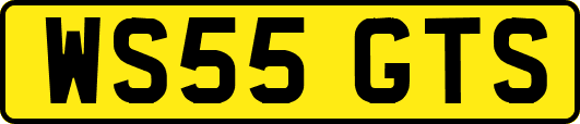 WS55GTS