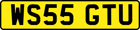 WS55GTU