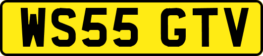 WS55GTV