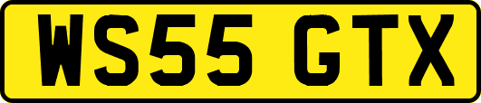 WS55GTX