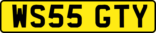WS55GTY