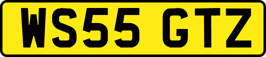 WS55GTZ