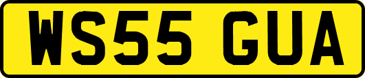 WS55GUA