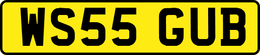 WS55GUB
